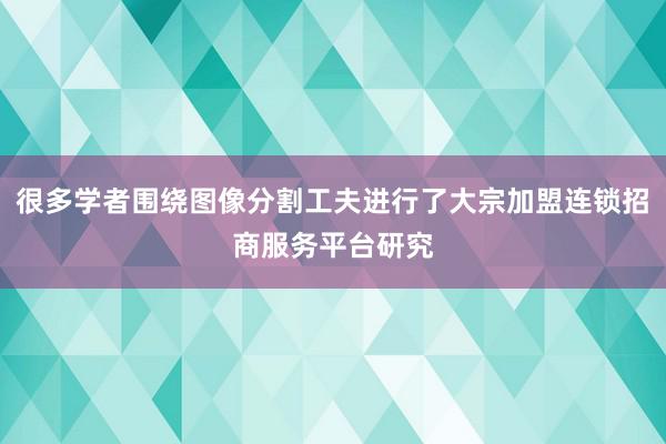 很多学者围绕图像分割工夫进行了大宗加盟连锁招商服务平台研究